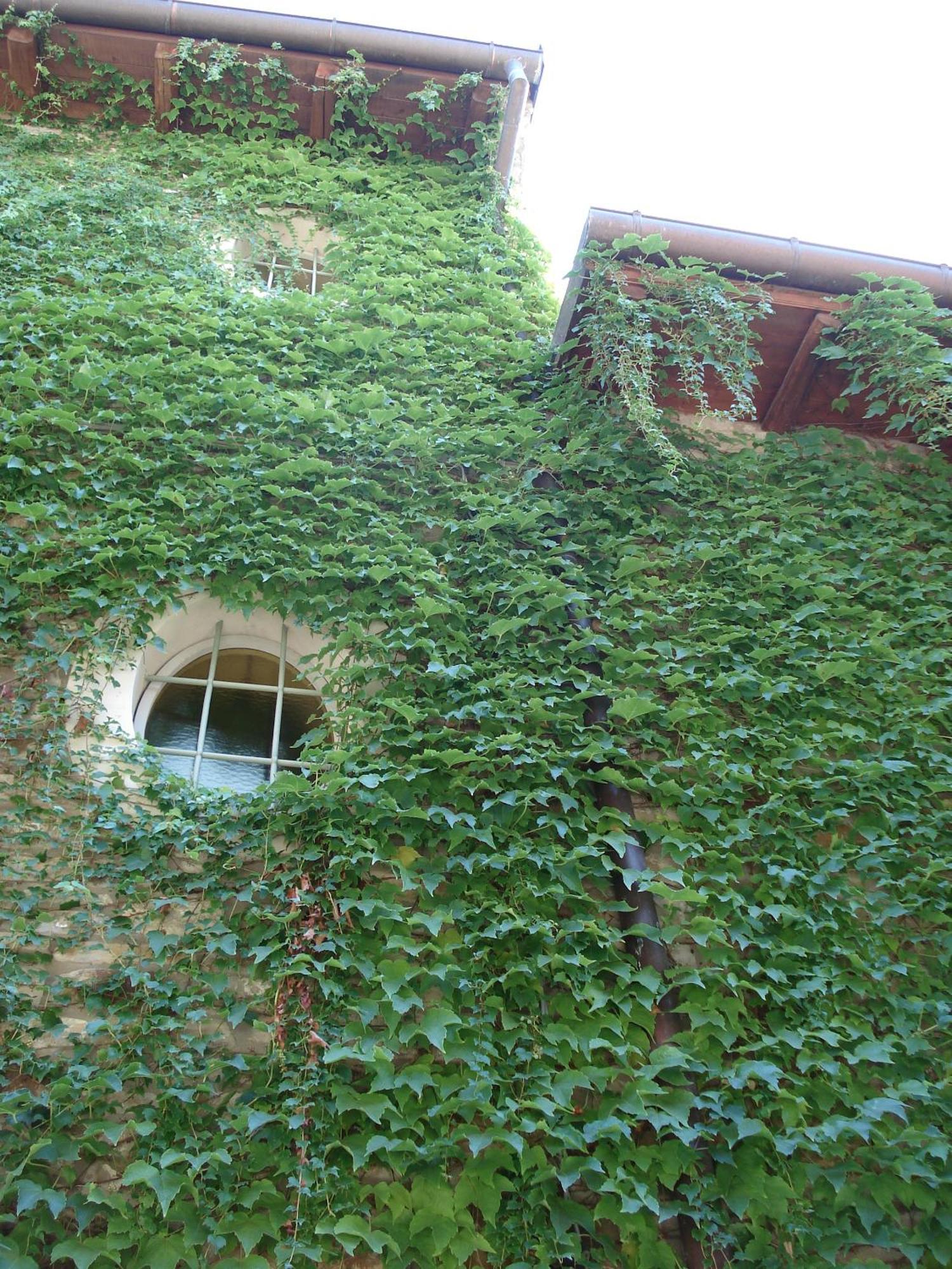 Locanda Amerigo Savigno Exterior foto